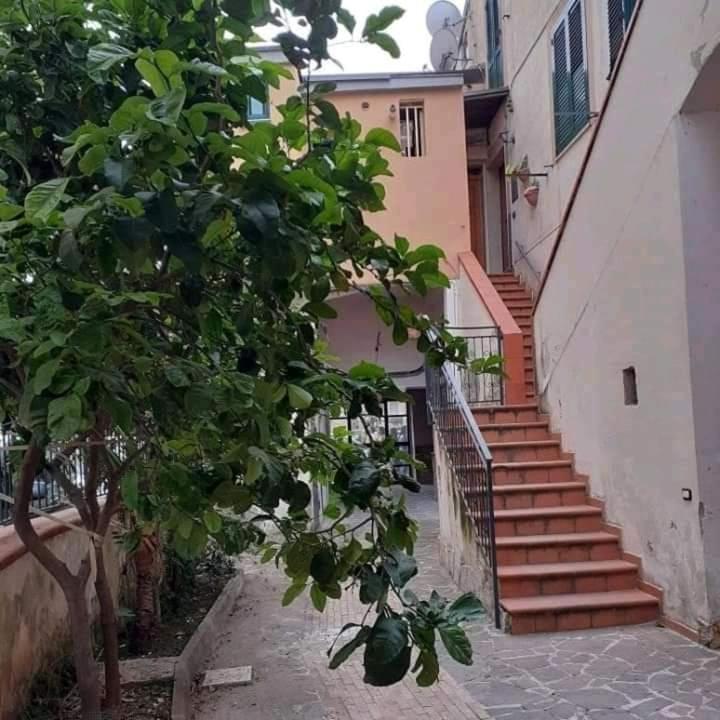 Appartamento La Stella Marina